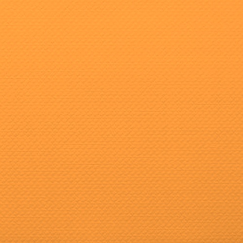 isapn5304-mandarine