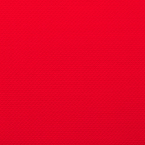 isapn5304-rouge