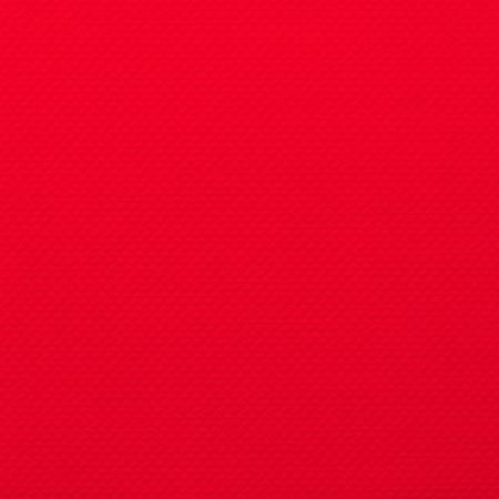 isapn5304-rouge