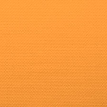 isapn5304-mandarine