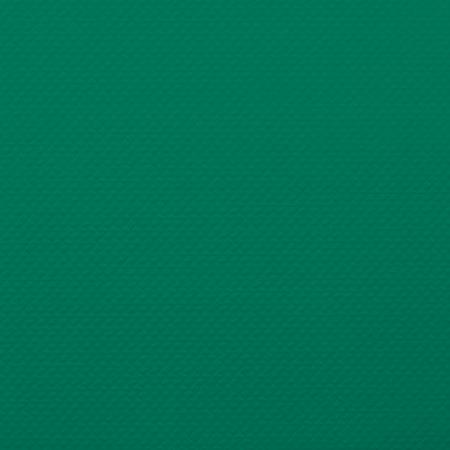 isapn5304-vertfonce