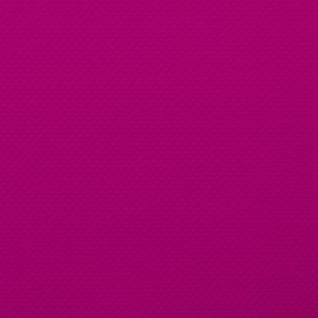 isapn5304-prune