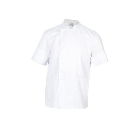 madras_blanc